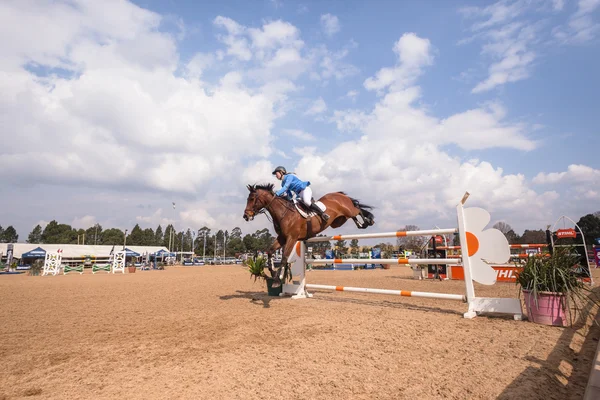 Equestrain at atlama — Stok fotoğraf