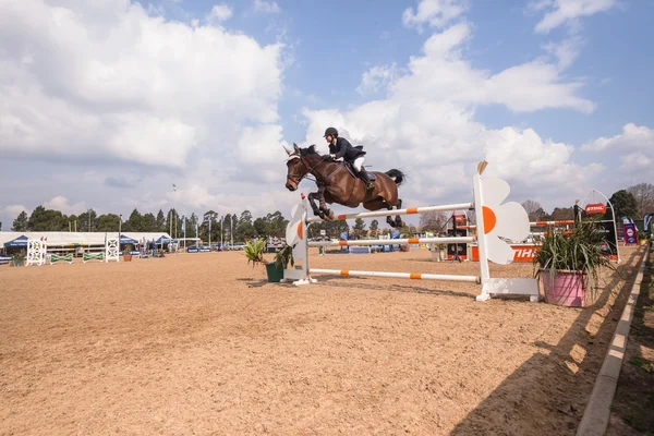 Equestrain Horse Show Saltar —  Fotos de Stock