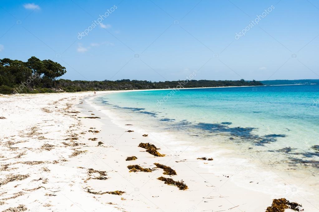 Blue Ocean Beach Seaweed Landscape