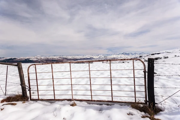 Gate Fence Mountains Snow — Stock Photo, Image