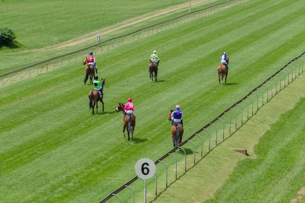 Pferde Jockeys Rennstrecke — Stockfoto