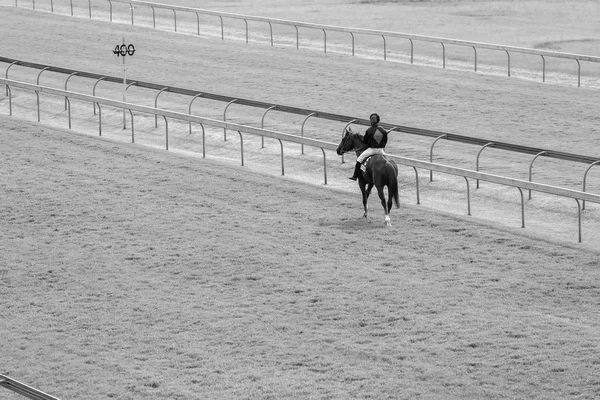 Koně žokej Race Track černá bílá — Stock fotografie