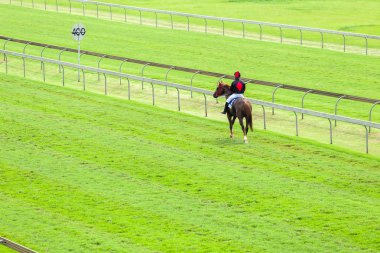At jokey yarış pisti