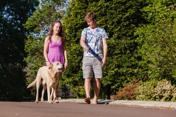 Teenager Junge Mädchen Hund zu Fuß nach Hause — Stockfoto