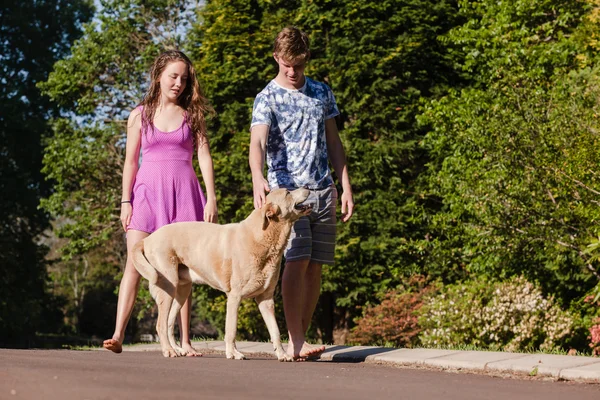 Teen Boy Girl Dog Walking Home — Stok Foto