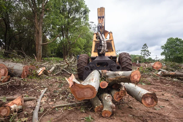 Tree loggar lyftande maskin — Stockfoto