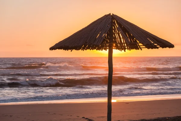 Umbrella Silhouetted Beach — Stock Photo, Image