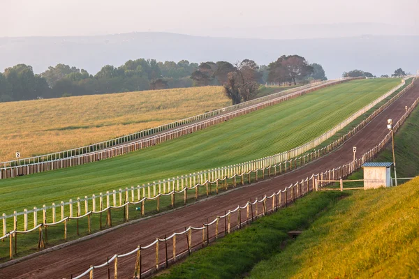 Cavalo Racing grama areia formação paisagem — Fotografia de Stock