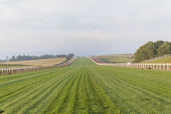 Paardenrennen Track rechtstreeks — Stockfoto
