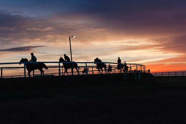 Cavalos cavaleiros silhueta céu nascer do sol — Fotografia de Stock