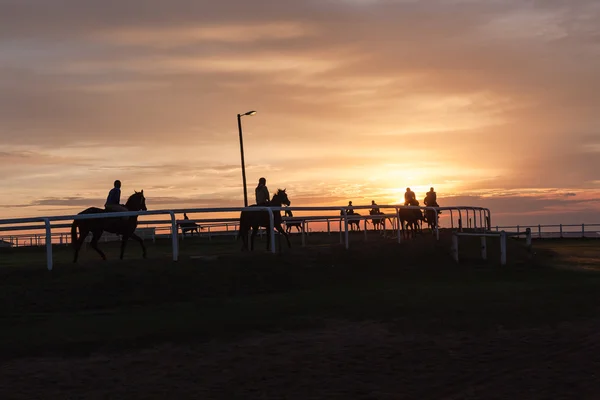 Race Horses Riders Silhoutted Sunrise — Stock Photo, Image