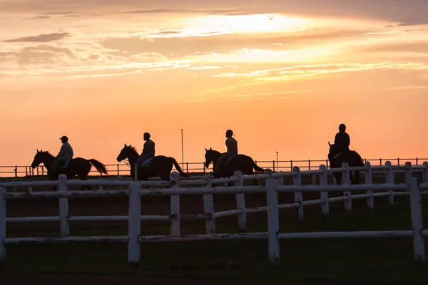 Horses Riders Silhouetted Dawn — Stock Photo, Image