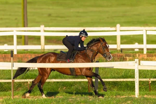 Φυλή αλόγων Jockey δράση κατάρτισης — Φωτογραφία Αρχείου