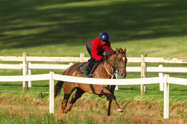 Rennpferd-Jockey-Trainingsaktion — Stockfoto