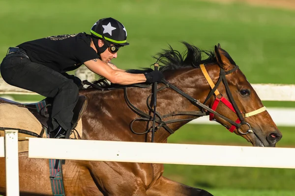 Rasy koni Jockey szkolenia akcji — Zdjęcie stockowe