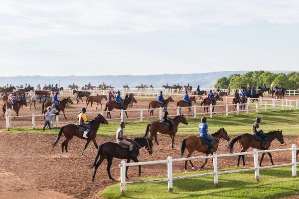 Race Horses Riders Training — Stock Photo, Image