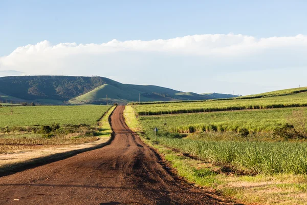 Zemědělství Road krajina — Stock fotografie