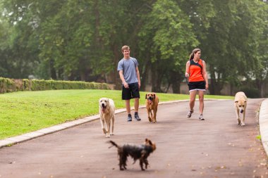 Kız çocuk köpek yürüyüş