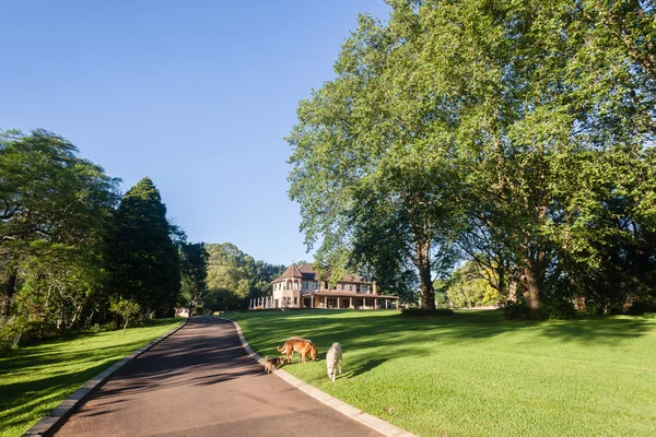 Home Entrance Landscape — Stock Photo, Image