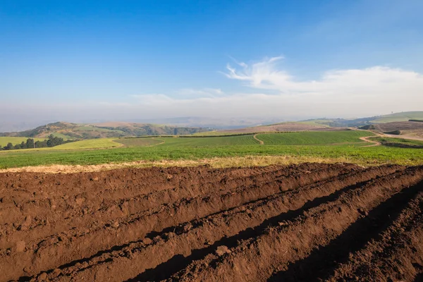 Farm Plowed Earth — Stock Photo, Image