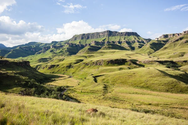 Berg — Stockfoto