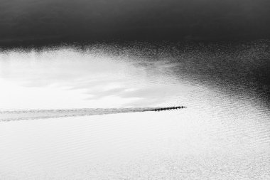 Siyah beyaz Kano Çoruh hava