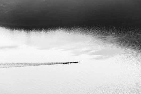Kanot paddlarna luft svart vit — Stockfoto