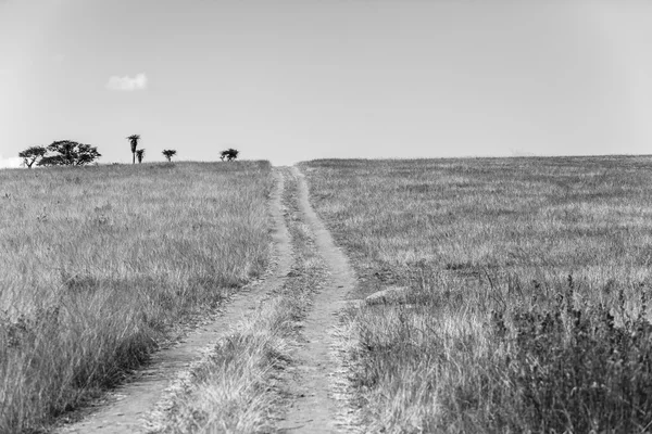 Zandweg Tracks wildernis zwart witte Vintage — Stockfoto