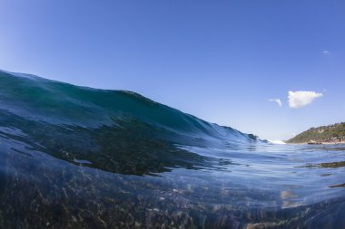 Dalga okyanus resif mavi