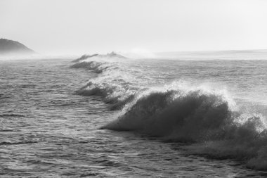 Siyah beyaz okyanus dalgası 