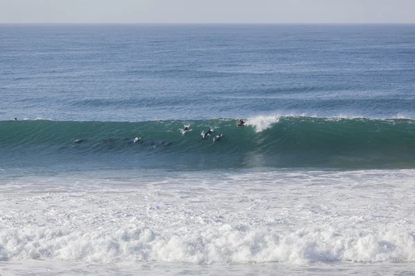 Delfíni Wave vysunout surfař — Stock fotografie
