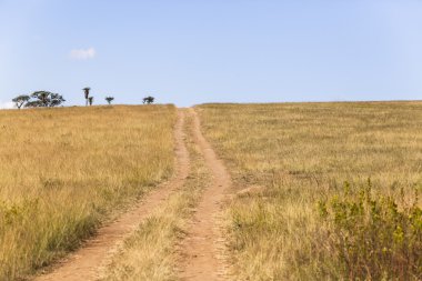 Peyzaj toprak yol izler