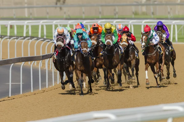 Ação de corrida de cavalos — Fotografia de Stock