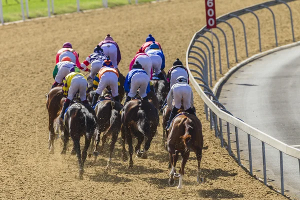 Ação de corrida de cavalos — Fotografia de Stock