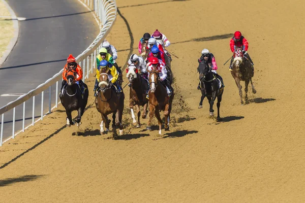 Ação de corrida de cavalos — Fotografia de Stock