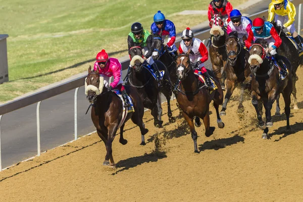 Carreras de caballos Acción —  Fotos de Stock