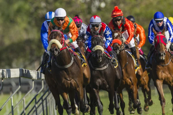 Horse Racing Action — Stock Photo, Image