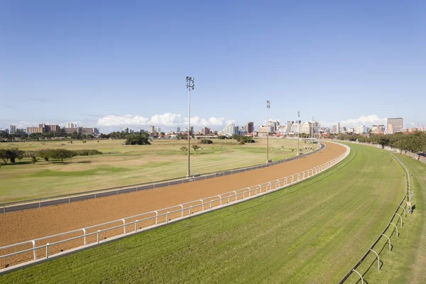 Horse Racing Greyville — Stock Photo, Image