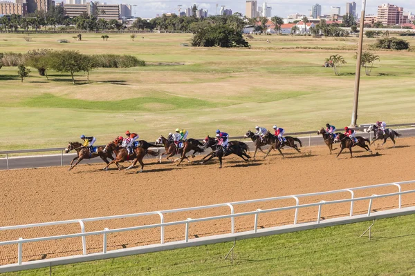 Horse Racing Action — Stock Photo, Image