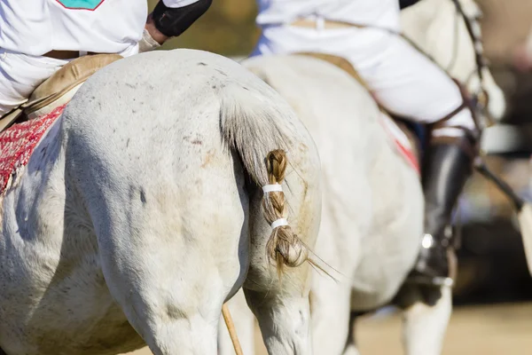 Polopferde Reiter abstraktes Detail — Stockfoto