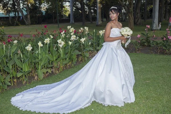 Wedding Bride Dress Garden — Stock Photo, Image