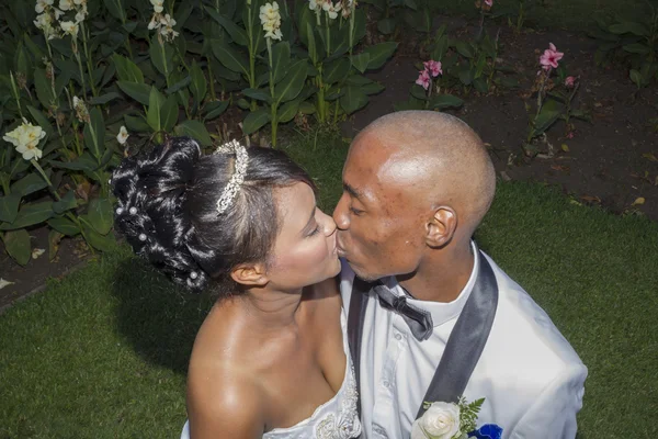 Wedding Bride Groom Kiss — Stock Photo, Image