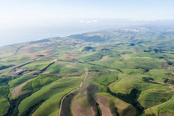 Flying Landscape sugarcane fields — Stock Photo, Image