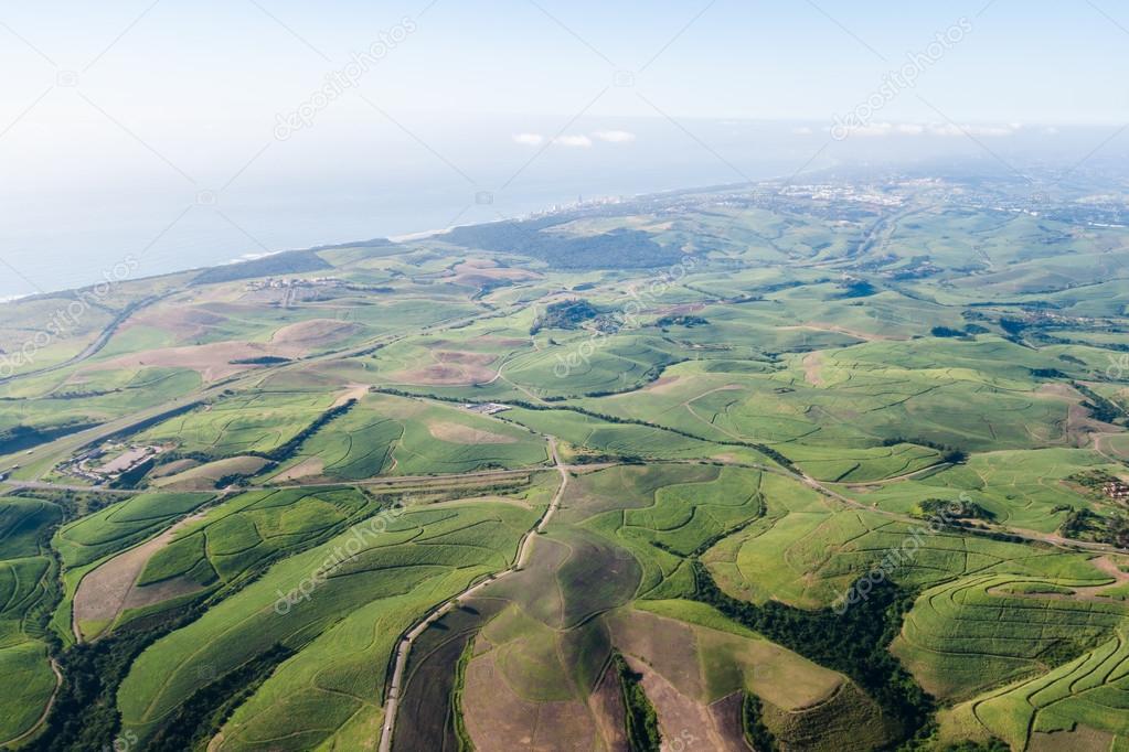 Flying Landscape sugarcane fields