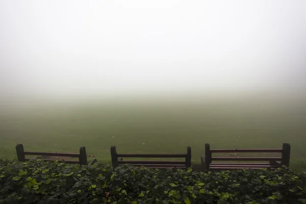 Bancos de silla niebla de campo —  Fotos de Stock