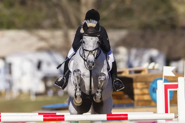 Cheval cavalier saut d'obstacles Action — Photo