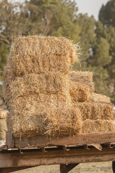 Farm Trailer gräs balar — Stockfoto