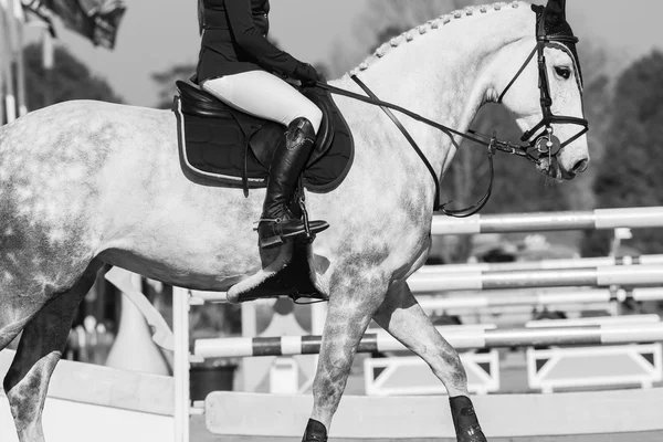 Horse Rider Vintage — Stock Photo, Image