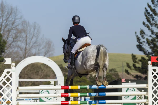 Salto de Cavaleiro Show — Fotografia de Stock