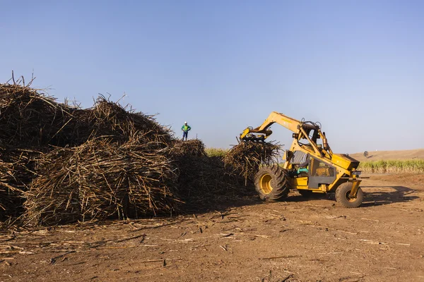 Farm Harvest Crop Loading Tractor — Stock Photo, Image